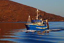 Fishing vessel &#39;Vision&#39;  approaching Ullapool harbour, Scotland, UK. April 2020.