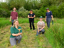 Ellie Jones of Wiltshire Wildlife Trust and a team of volunteers holding their dibbers after using them to dig holes for hundreds of Devil&#39;s bit scabious (Succisa pratensis) plant plugs in a forme...