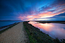 Sea Wall at sunset New Forest National Park, Hampshire, England, UK. August 2018.