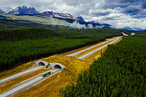 Animal crossing bridge over highway road in Banff, Alberta, Canada.