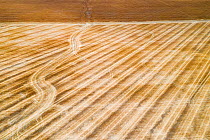 Aerial view of a harvested wheat field, Saskatchewan, Canada.
