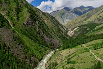 Argut river in central Altai Republic, a tributary of Katun. Altai Republic, Russia