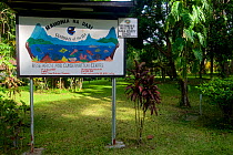 Mahonia Na Dari Research and Conservation Centre, Willaumez Peninsula, New Britain, Papua New Guinea, January