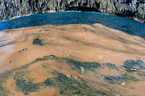 Algal bloom on sea, called sea sawdust (Trichodesmium erythraeum) La Palma, Canary Islands.
