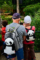 French tourists and panda fans watching Giant panda (Ailuropoda melanoleuca), with panda T-shirts, facemasks, caps and backpacks. Beauval ZooParc, Saint-Aignan, France. Model released. August 2021. Ed...