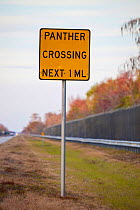 Panther crossing warning sign on highway verge beside protective fencing, Florida Panther National Wildlife Refuge, Florida, USA.