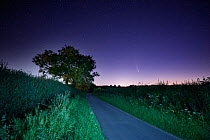 Comet Neowise and The Plough in the northern night sky over Milborne Wick, Somerset, England, UK.. July 2020.