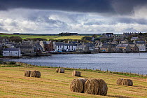 Landscape of St Margaret&#39;s Hope, with field of hay bales, South Ronaldsay, Orkney Isles, Scotland. October 2020.