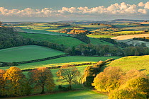The rolling countryside around Plush in autumn from Ball Hill, Dorset, England, UK. October 2018.
