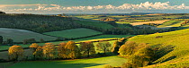 The rolling countryside around Plush in autumn from Ball Hill, Dorset, England, UK. October 2018.