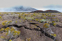 Formica Leo (a small volcanic crater), Piton de la Fournaise Volcano, Reunion Island.
