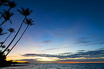 Post-sunset glow at Anaeho&#39;omalu Bay with silhouetted palm trees, South Kohala, Hawaii. October, 2020.
