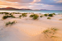 Luskentyre beach/sands, marram grasses and early morning sunlight, Isle of Harris, Outer Hebrides, Scotland, UK. October 2018.