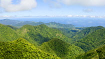 Aerial shot panning from view of freshwater lake to surrounding tropical forest canopy, Dominica, West Indies, 2019.