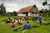 People tying palm leaves around wood to create roofing, Maijuna Indigenous Community, Rainforest, Sucusari, Rio Napo, Loreto, Peru. January 2013.