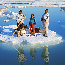 Orfik Duneq, his wife Judithe and daughter Jacobine using an ice floe as a raft to cross a wide lead in early summer. Qaanaaq. NW Greenland. (1971)