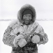 Kigutikak Duneq dressed in caribou skin, using a large knife to cut a piece of Maktaaq (whale skin) to eat. Qaanaaq. Thule. Northwest Greenland. 1971