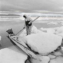 Jess Qujaukitsok preparing to get into his kayak from the ice, Inglefield Bredning. Thule, Northwest Greenland