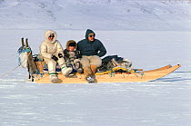 Ilanugaq Kristiansen and his wife, Aviaq, travelling by dog sled with their son in the Spring near the village of Siorapaluk. Avanersuaq, Northwest Greenland. (1977)