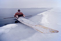Inuit hunter, Avataq Henson, using his kayak to retrieve a seal he has shot at the ice edge in February near Moriussaq. Thule, Northwest Greenland. (1980)