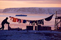 An Inuit pushing a sled past a washing line with clothes & a sealskin hanging on it during the autumn at Moriussaq. Northwest Greenland. (1987)