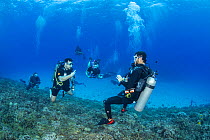 Dive guide, Alex Taulere, checks back with his divers over a reef at Molokini Islet off Maui, Hawaii. Model released.