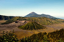 Volcanic landscape showing Mount Semeru volcano, Mount Widodaren, Mount Batok, Mount Bromo volcano, Bromo Tengger Semeru National Park, Java, Indonesia, July, 2013.