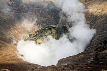 Smoke billowing from the crater of Mount Bromo volcano. Bromo Tengger Semeru National Park, Java, Indonesia, July, 2013.