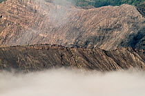 People gathering at the rim of Mount Bromo volcano as morning fog fills the surrounding caldera known as the sand sea, Bromo Tengger Semeru National Park, Java, Indonesia, July, 2013.