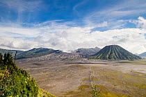 Smoke billowing from Mount Bromo volcano. View from the rim of the surrounding caldera known as the sand sea, Bromo Tengger Semeru National Park, Java, Indonesia, July, 2013.