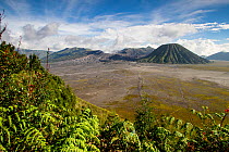 Smoke billowing from Mount Bromo volcano. View from the rim of the surrounding caldera known as the sand sea, Bromo Tengger Semeru National Park, Java, Indonesia, July, 2013.