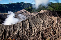 Smoke billowing from Mount Bromo volcano. View from the summit of Mount Batok. Bromo Tengger Semeru National Park, Java, Indonesia, July, 2013.