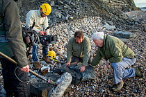 Sir David Attenborough with fossil hunter Chris Moore and crew during filming for BBC special &#39;Attenborough and the Sea Dragon&#39;, Lyme Regis, Dorset, UK, 2016