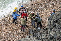 Sir David Attenborough and crew on location for the BBC programme &#39;Attenborough and the Sea Dragon&#39;. Lyme Regis, Dorset, UK. 2016.