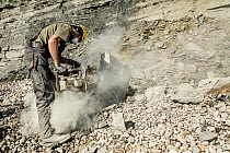 Splitting rock during excavation of fossilised bones of a giant ichthyosaur from the cliffs of Lyme Regis, Dorset, UK, 2016. Filmed for the BBC special &#39;Attenborough and the Sea Dragon