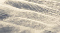 Close up of strong winds blowing snow across snowhills, Atka Bay, Antarctica, October.