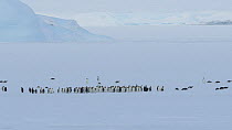 Emperor penguin (Aptenodytes forsteri) group, some birds are sliding over the ice on their fronts, while others stand in a small group, an iceberg in background, Atka Bay, Antarctica, April.