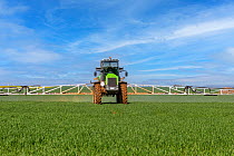 Spraying chemicals onto  crops using a wide farm sprayer behind a tractor, Oise, France. April