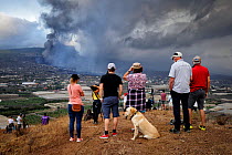 Residents of the Aridane valley watching eruption of Cumbre Vieja volcano near their homes, La Palma, Canary Islands, September 2021.