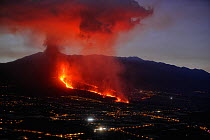 Cumbre Vieja volcano erupting at night, with lava flow destroying houses in El Paso village, La Palma, Canary Islands. September 2021.