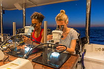 Scientists Nadine Boulotte from Southern Cross University(left) and Katie Chartrand from James Cook University (right) looking down microscopes at Coral larvae. Part of Coral IVF project to rear coral...