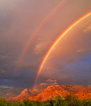 Double rainbows over the Santa Catalina Mountains at sunset following a powerful monsoon storm, Sonoran Desert, Arizona, USA.