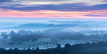 Dawn in the Cranborne Chase viewed from Win Green Hill, Wiltshire, England, UK, June.