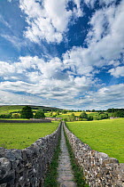 Footpath between stone walls leading to town of Grassington, Wharfedale, Yorkshire Dales National Park, North Yorkshire, UK, June.