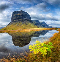 Spectacular cliff of Lomagnupur reflected in a pool, South coast of Iceland, September.
