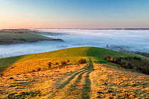 Melbury Hill at sunrise with mist in the Blackmore Vale, Cranborne Chase AONB, Dorset, UK, February.