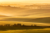 Sunrise over farmland in the Piddle Valley towards Piddlehinton, Dorset, UK, February.