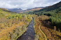 Aerial view of Strontian Glen with Sessile oak (Quercus petraea) ancient woodland, Ariundle Oakwood National Nature Reserve, on left, Highlands, Scotland, UK.