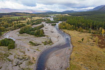 Aerial view of rewilding at Glenfeshie and the braided River Feshie in autumn, Cairngorms National Park, Scotland, UK.