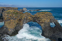 Gatklettur Arch and Arnarstapi sea stacks, Snaefellsnes Peninsula, Iceland, May 2021.